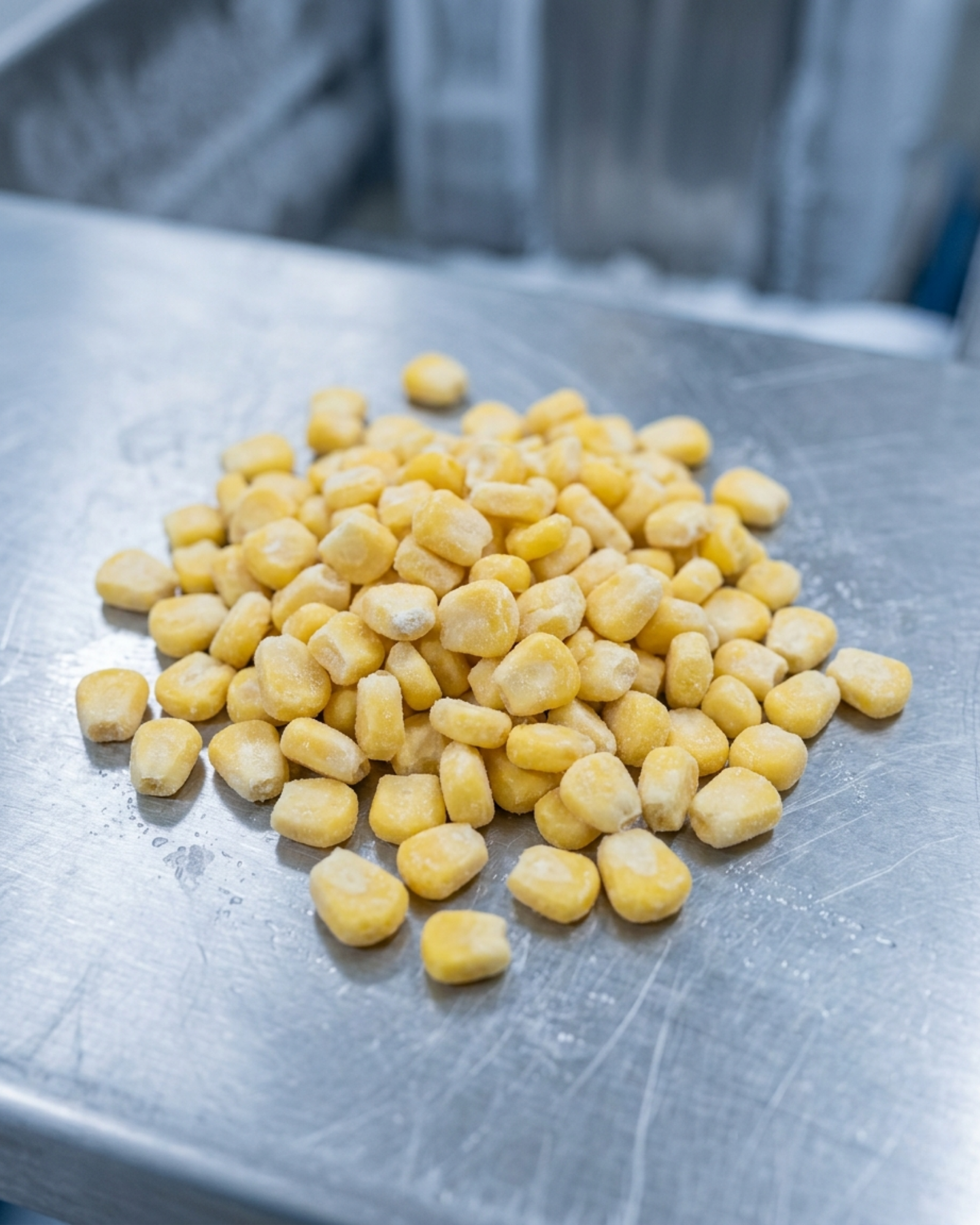 IQF Sweet Corn Kernel Exporter India Bulk Frozen Sweetcorn